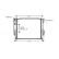 Radiator, engine cooling 06002099 International Radiators