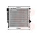 Radiator, engine cooling 06002099 International Radiators, Thumbnail 2