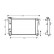 Radiator, engine cooling 07002032 International Radiators
