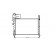 Radiator, engine cooling 17002101 International Radiators