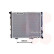 Radiator, engine cooling 30002068 International Radiators, Thumbnail 2
