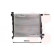 Radiator, engine cooling 30002310 International Radiators, Thumbnail 2