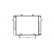 Radiator, engine cooling 37002038 International Radiators