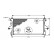 Radiator, engine cooling 40002304 International Radiators