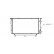 Radiator, engine cooling 43002150 International Radiators