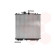 Radiator, engine cooling 51002021 International Radiators, Thumbnail 2