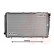 Radiator, engine cooling 51002043 International Radiators, Thumbnail 2