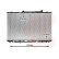Radiator, engine cooling 53002186 International Radiators, Thumbnail 2