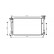 Radiator, engine cooling 53002333 International Radiators