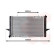 Radiator, engine cooling 59002118 International Radiators, Thumbnail 2