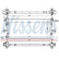 Radiator, engine cooling 617879 Nissens