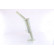 Radiator, engine cooling 61923 Nissens, Thumbnail 4