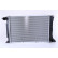 Radiator, engine cooling 62080A Nissens, Thumbnail 3