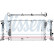 Radiator, engine cooling 63124 Nissens