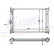 Radiator, engine cooling 651721 Nissens