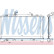 Radiator, engine cooling 68510 Nissens