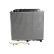 Radiator, engine cooling ADZ99803 Blue Print