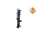 Radiator, engine cooling EASY FIT, Thumbnail 6