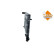 Radiator, engine cooling Economy Class, Thumbnail 3