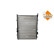 Radiator, engine cooling Economy Class, Thumbnail 2