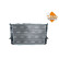Radiator, engine cooling Economy Class, Thumbnail 4