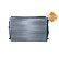 Radiator, engine cooling Economy Class, Thumbnail 3