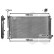 Radiator, engine cooling *** IR PLUS *** 53002403 International Radiators Plus, Thumbnail 3