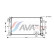 Radiator, engine cooling MS2446 Ava Quality Cooling, Thumbnail 2