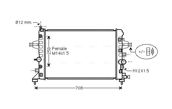 Radiator, engine cooling OL2482 Ava Quality Cooling