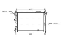 Radiator, engine cooling OLA2029 Ava Quality Cooling