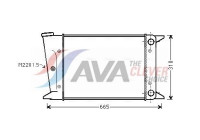 Radiator, engine cooling VN2044 Ava Quality Cooling