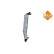 Radiator, engine cooling, Thumbnail 5