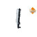 Radiator, engine cooling, Thumbnail 6