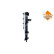 Radiator, engine cooling, Thumbnail 6