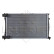 Radiator, engine cooling