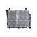 Radiator, engine cooling, Thumbnail 4