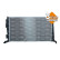 Radiator, engine cooling, Thumbnail 4