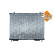 Radiator, engine cooling, Thumbnail 4