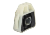 Suspension, radiator