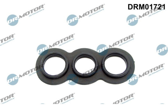Gasket, oil cooling thermostat