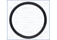 Gasket/ Seal