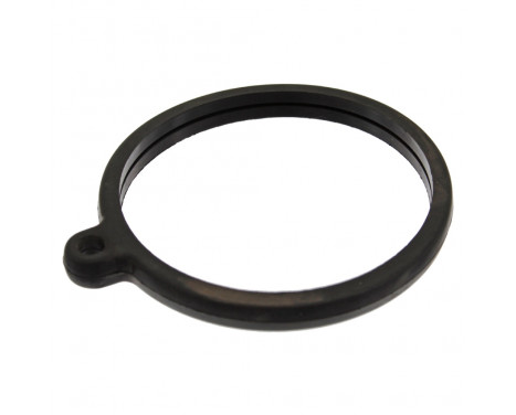 Gasket, thermostat 10259 FEBI