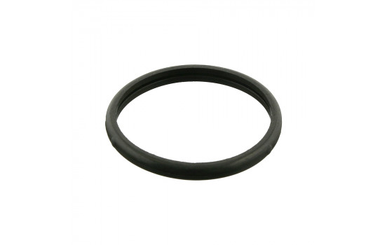 Gasket, thermostat 10260 FEBI