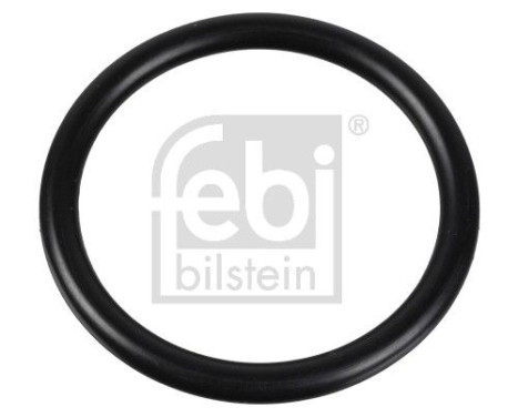 Gasket, thermostat 174322 FEBI
