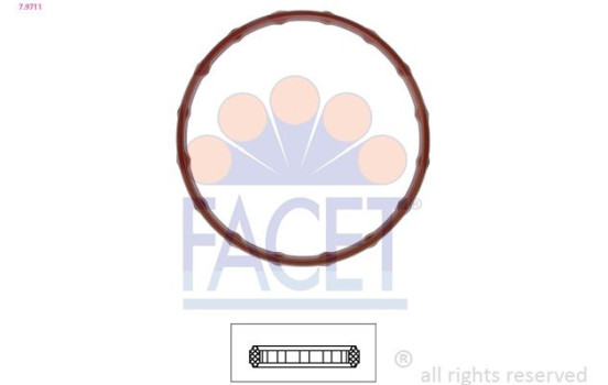 Gasket, thermostat 7.9711 Facet
