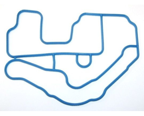 Gasket, thermostat housing 364.670 Elring