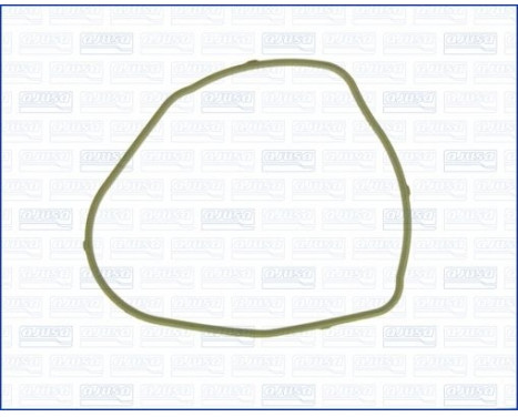 Gasket, thermostat housing