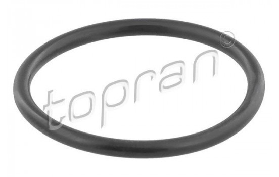 Gasket, thermostat housing