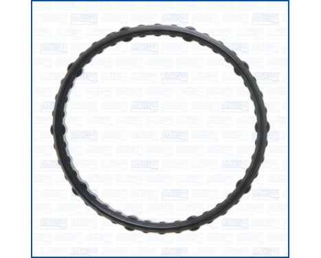 Gasket, thermostat housing