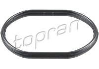 Gasket, thermostat housing